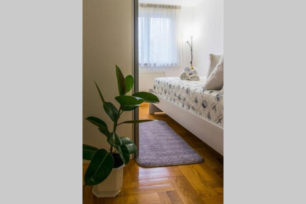 Apartment Jarun Brac Zagreb Exterior foto